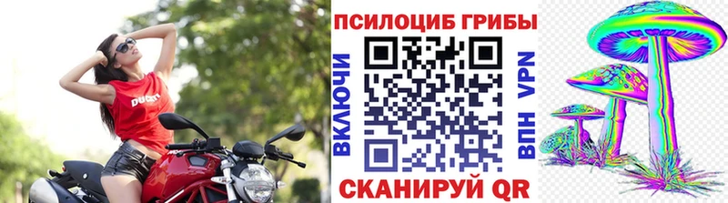 Купить закладки  Данилов  Галлюциногенные грибы Magic Shrooms 